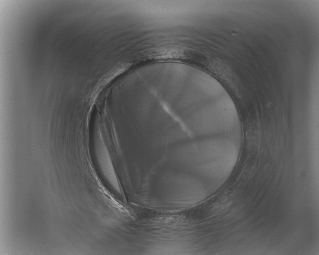 X0000062620721200601041004