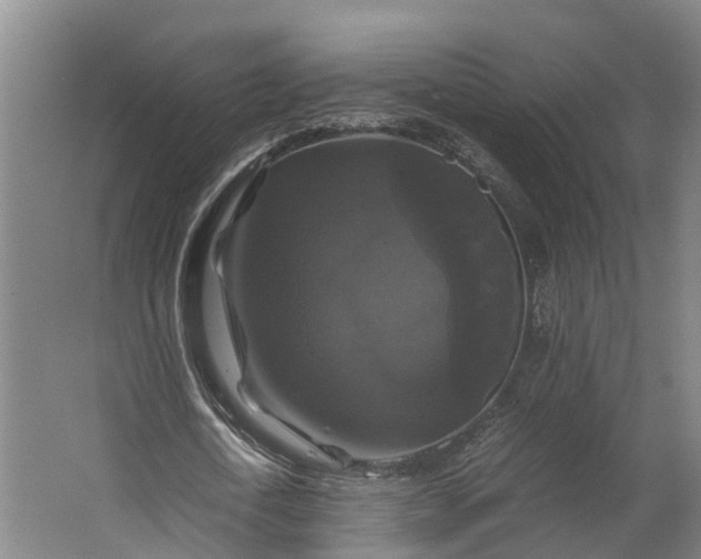 X0000062620722200601041004