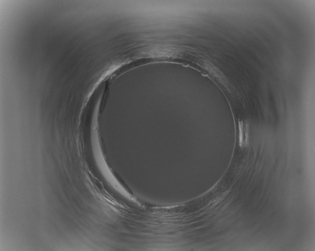 X0000062620723200601041004