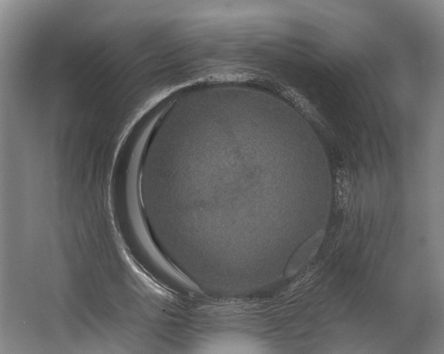 X0000062620726200601041004