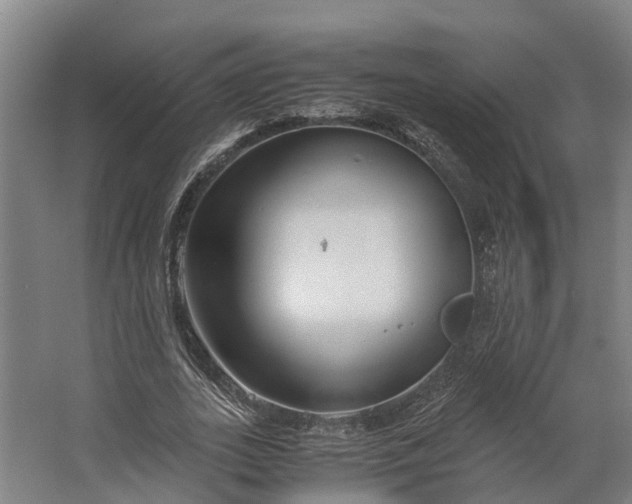 X0000062620727200601041004