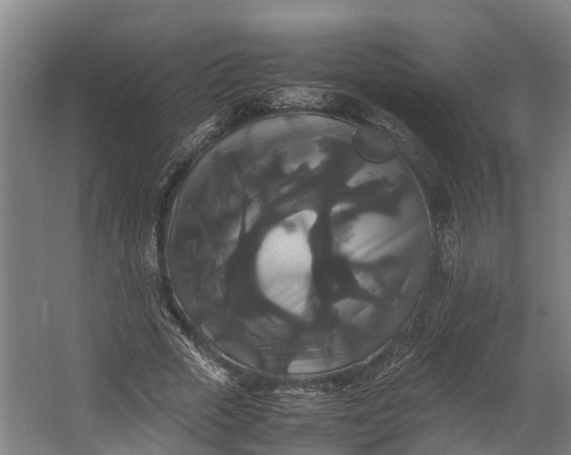 X0000062620729200601041004