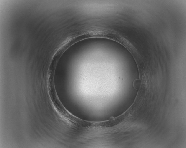 X0000062620730200601041004