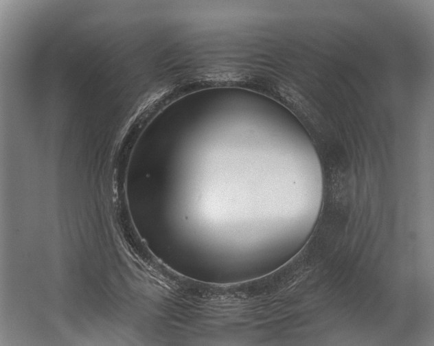 X0000062620731200601041004