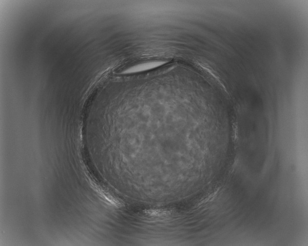 X0000062620733200601041004