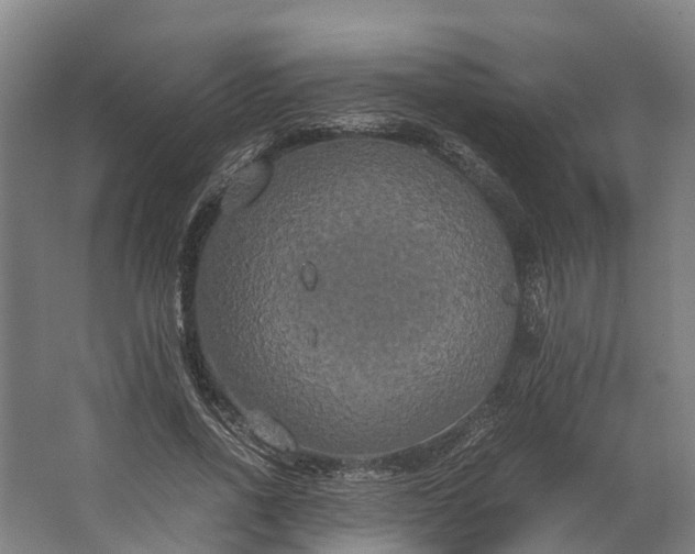 X0000062620734200601041004