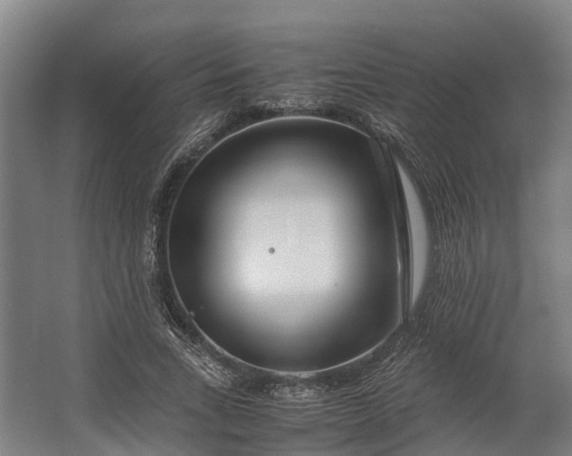 X0000062620735200601041004