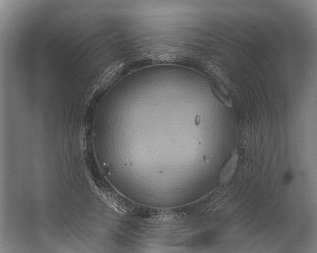 X0000062620738200601041004