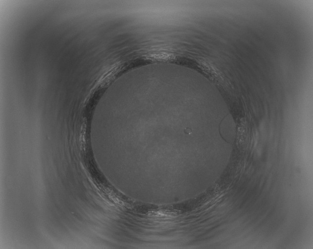 X0000062620739200601041004