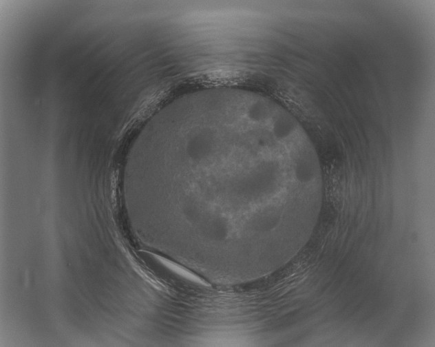 X0000062620742200601041005