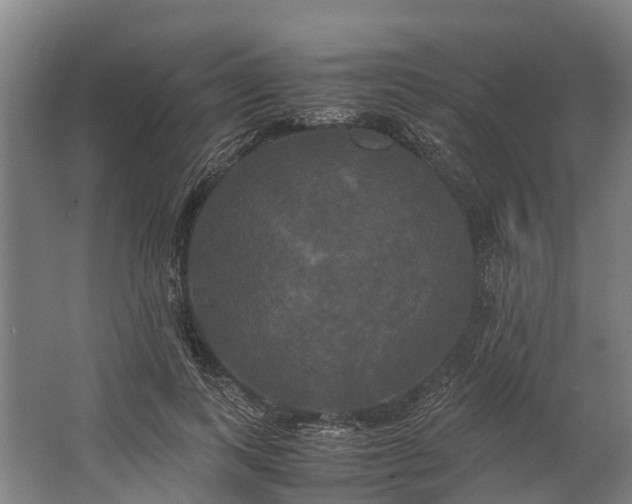 X0000062620743200601041005