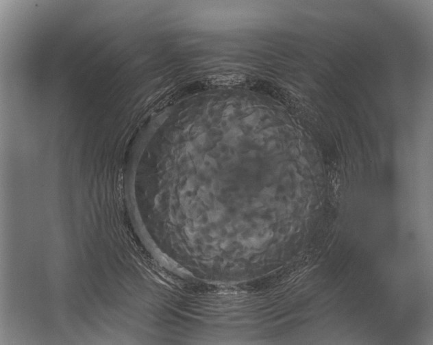 X0000062620745200601041005