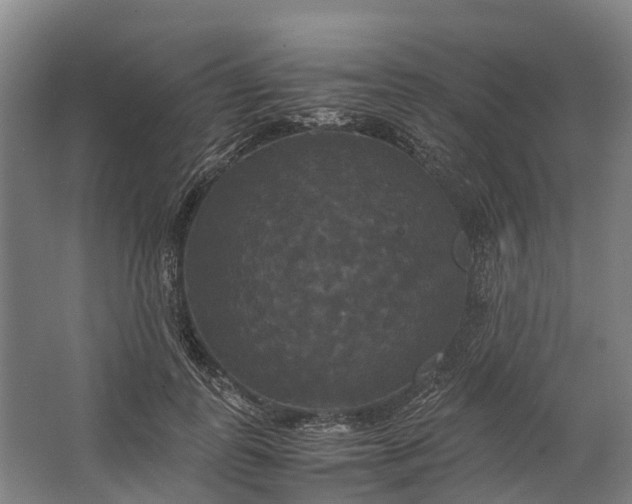 X0000062620747200601041005