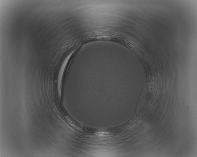 X0000062620748200601041005