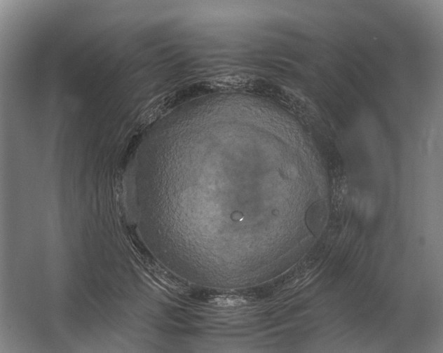 X0000062620749200601041005