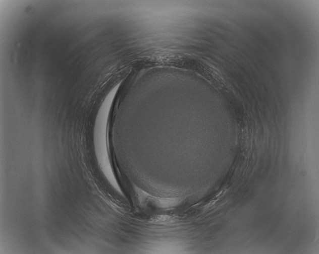 X0000062620750200601041005