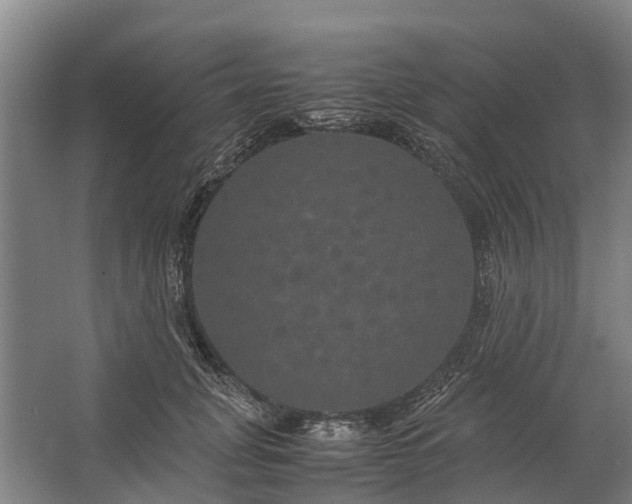 X0000062620751200601041005