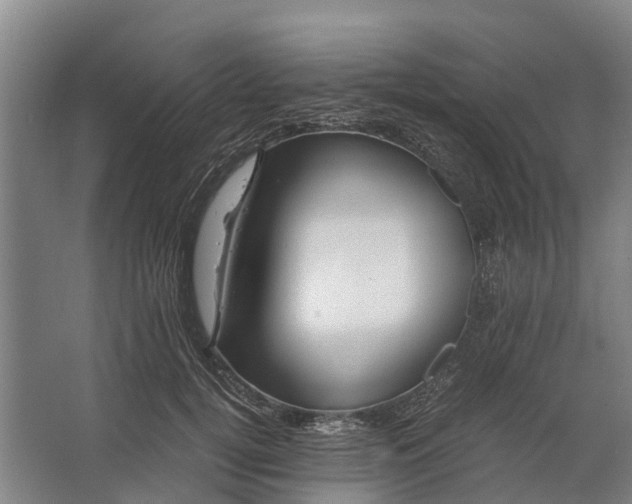 X0000062620752200601041005