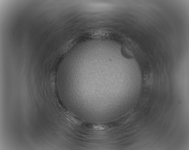 X0000062620753200601041005