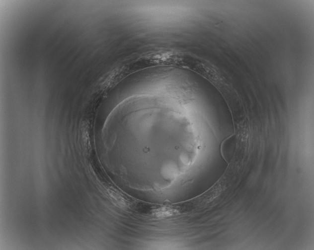 X0000062620754200601041005