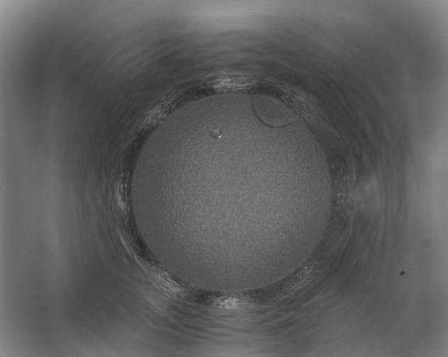 X0000062620755200601041005