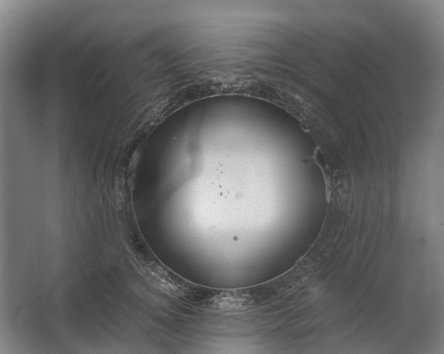 X0000062620756200601041005