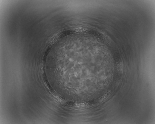 X0000062620757200601041005