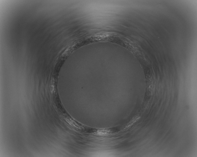 X0000062620758200601041005