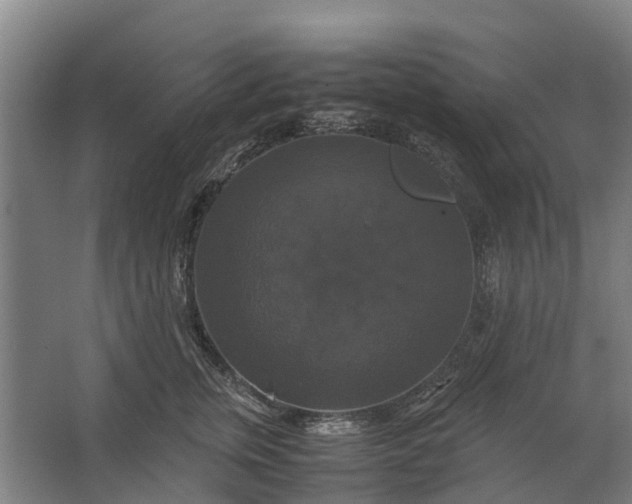 X0000062620759200601041005