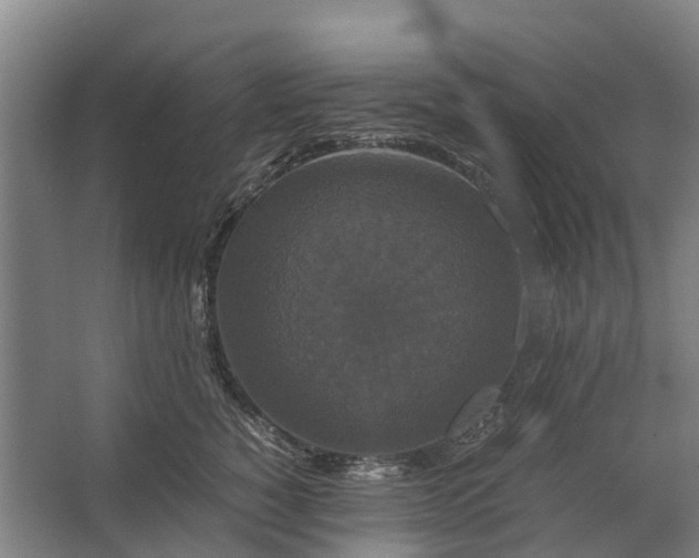 X0000062620760200601041005