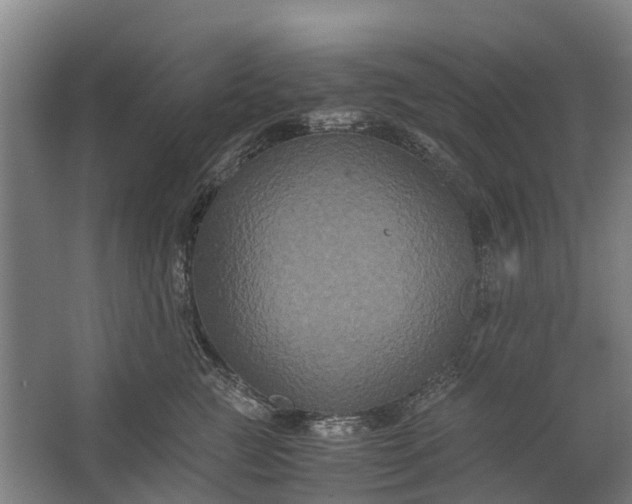 X0000062620761200601041005