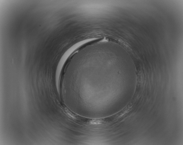 X0000062620762200601041005