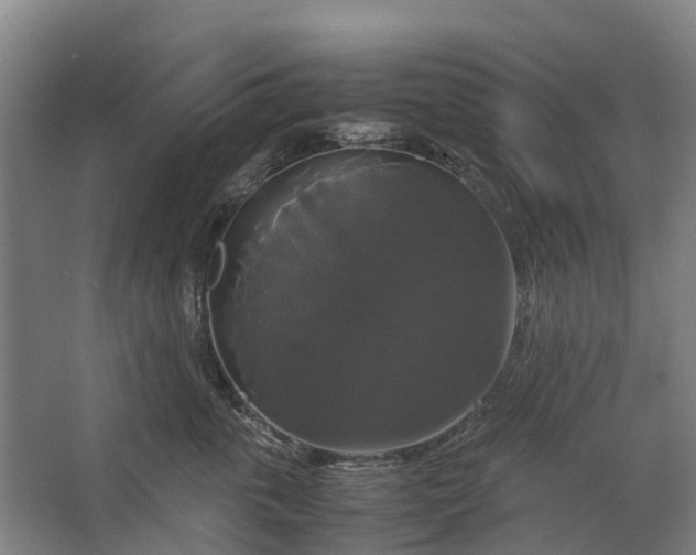 X0000062620763200601041005