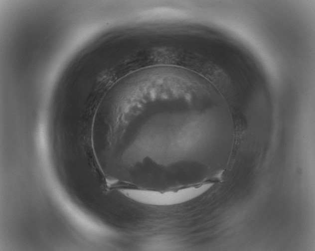 X0000062620765200601041005