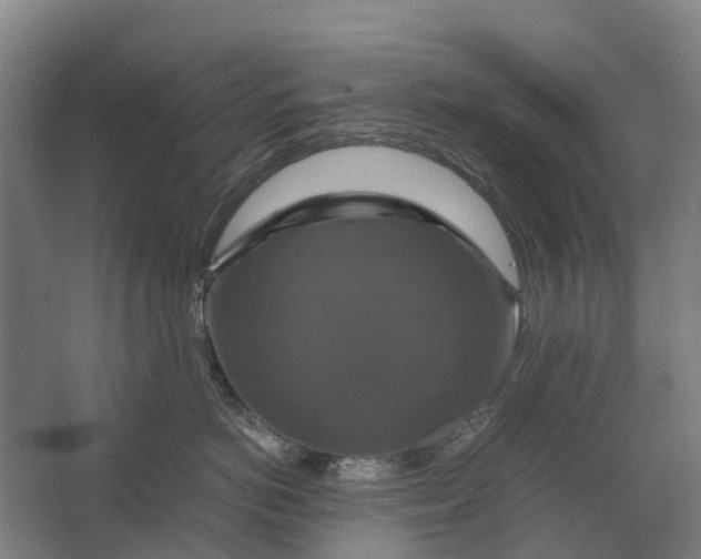 X0000062620766200601041005