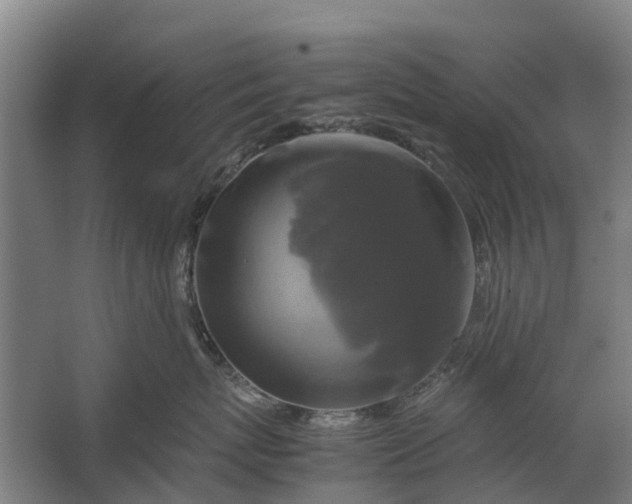 X0000062620767200601041005