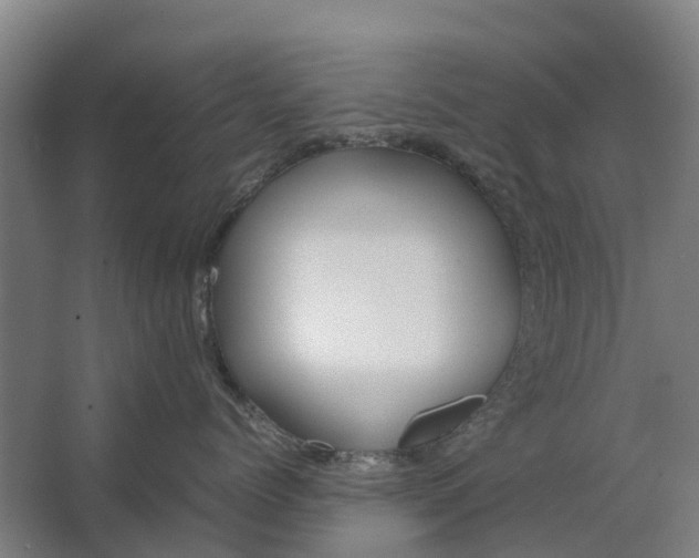 X0000062620768200601041005