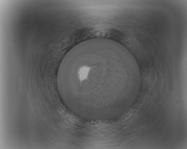 X0000062620769200601041004