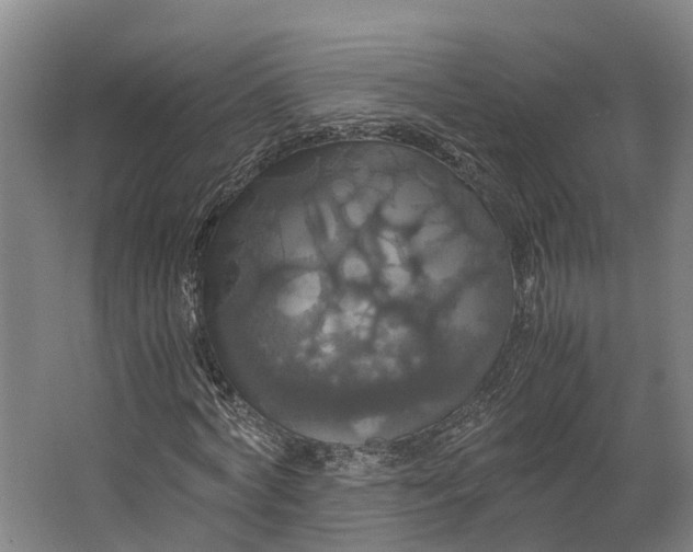 X0000062620772200601041004