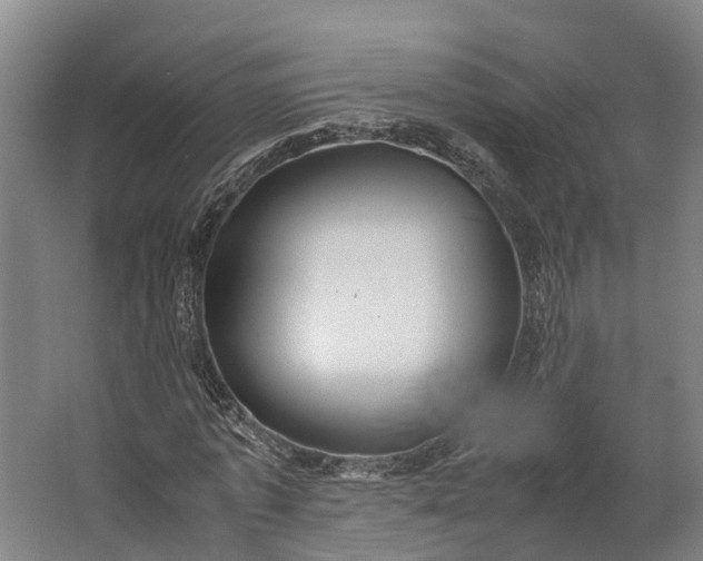 X0000062620773200601041004