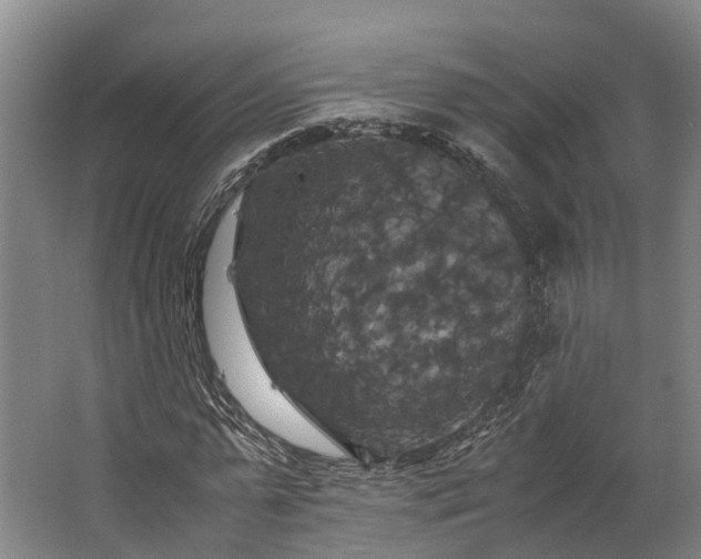 X0000062620775200601041004