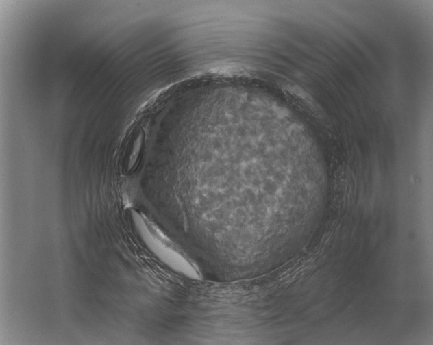 X0000062620776200601041004