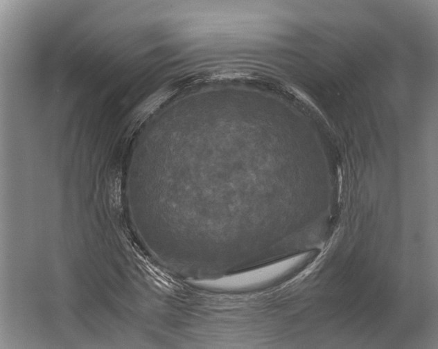 X0000062620777200601041004