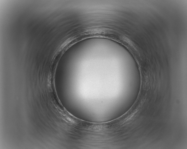 X0000062620778200601041004