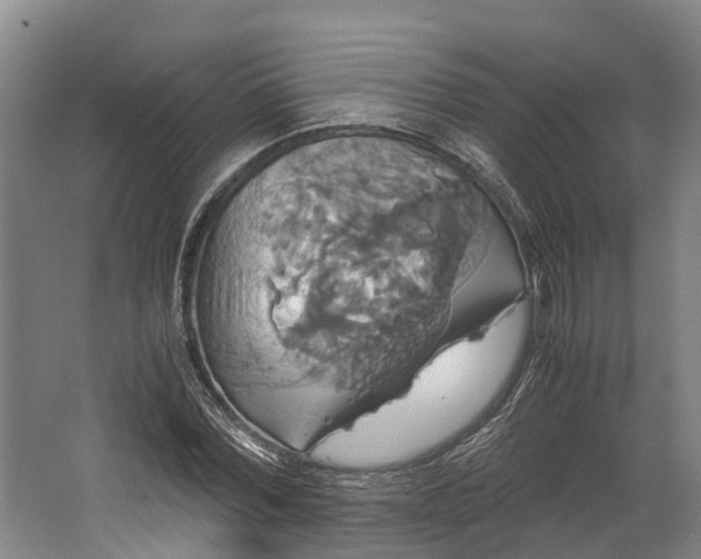 X0000062620780200601041004