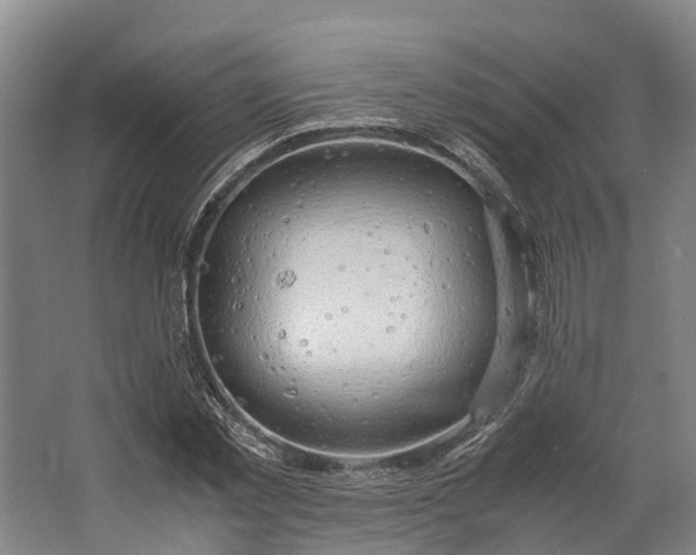 X0000062620781200601041004