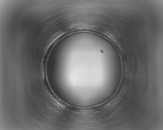 X0000062620782200601041004