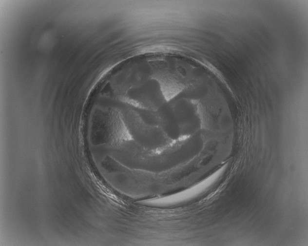 X0000062620783200601041004