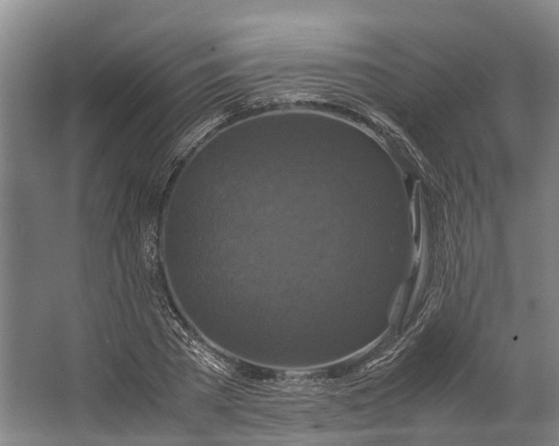 X0000062620785200601041004