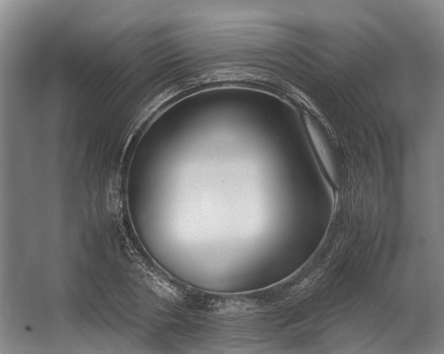 X0000062620786200601041004